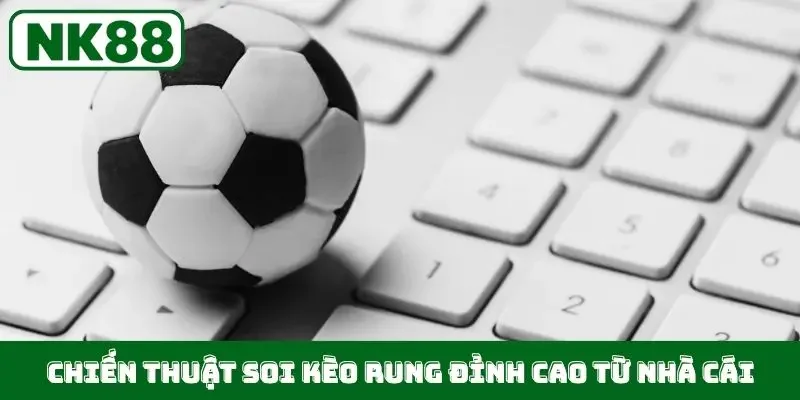 Chiến thuật soi kèo rung đỉnh cao từ nhà cái