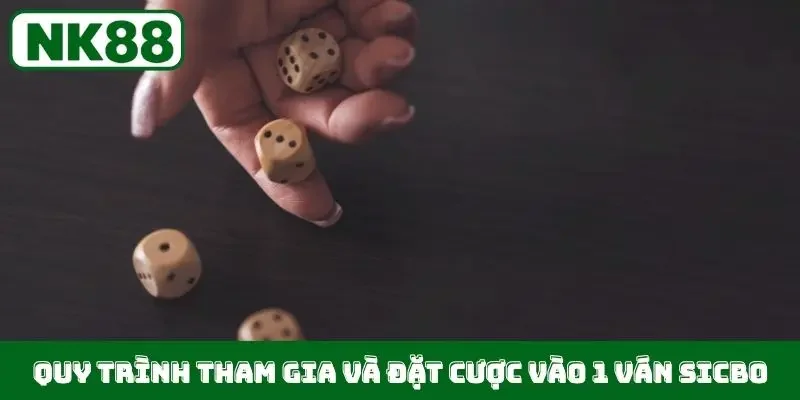 Quy trình tham gia và đặt cược vào 1 ván Sicbo